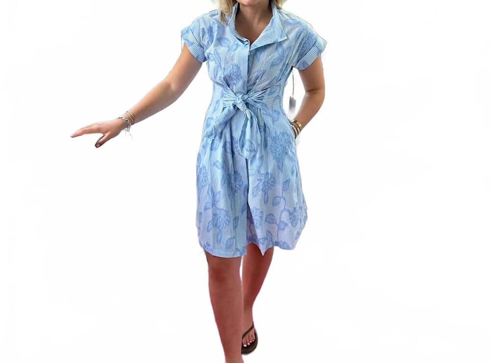 NEW APNY button front shirt dress in chambray